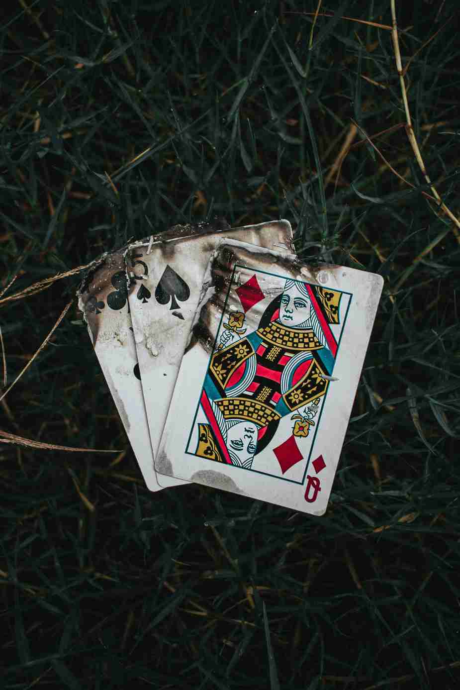 ¿Qué es Win Unique Casino? Análisis Completo y Opiniones